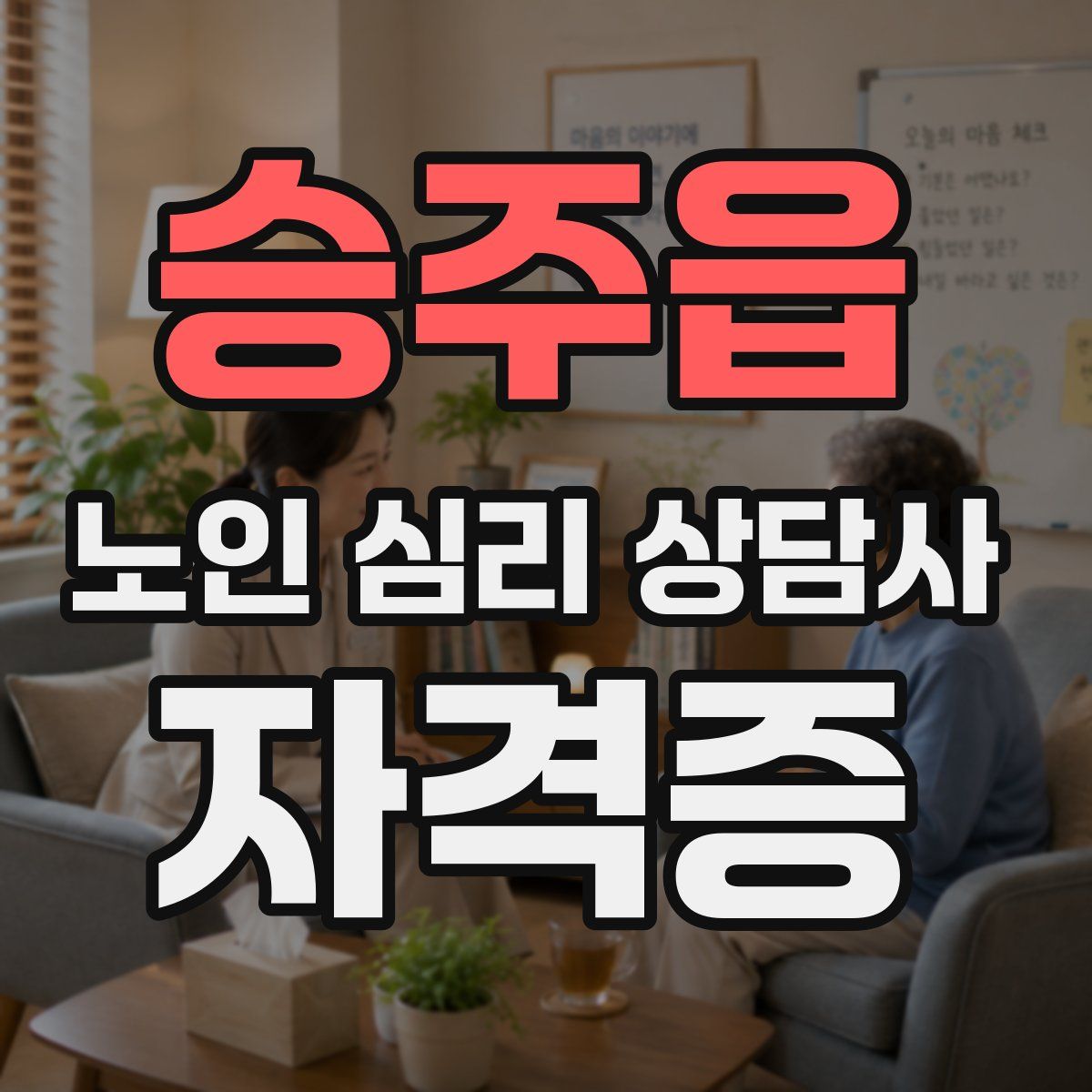 승주읍 노인 심리 상담사 자격증