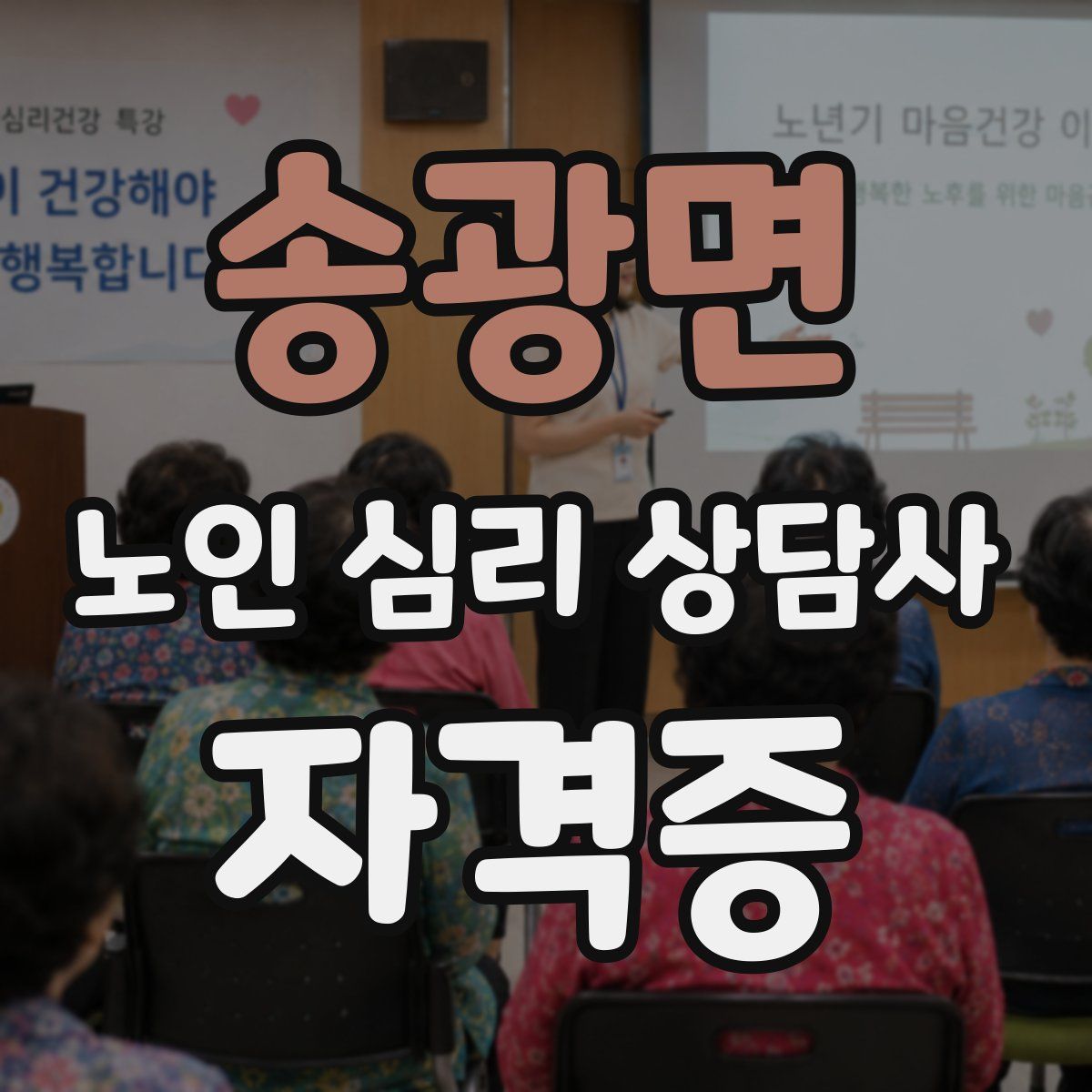송광면 노인 심리 상담사 자격증