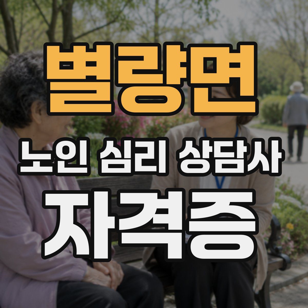 별량면 노인 심리 상담사 자격증