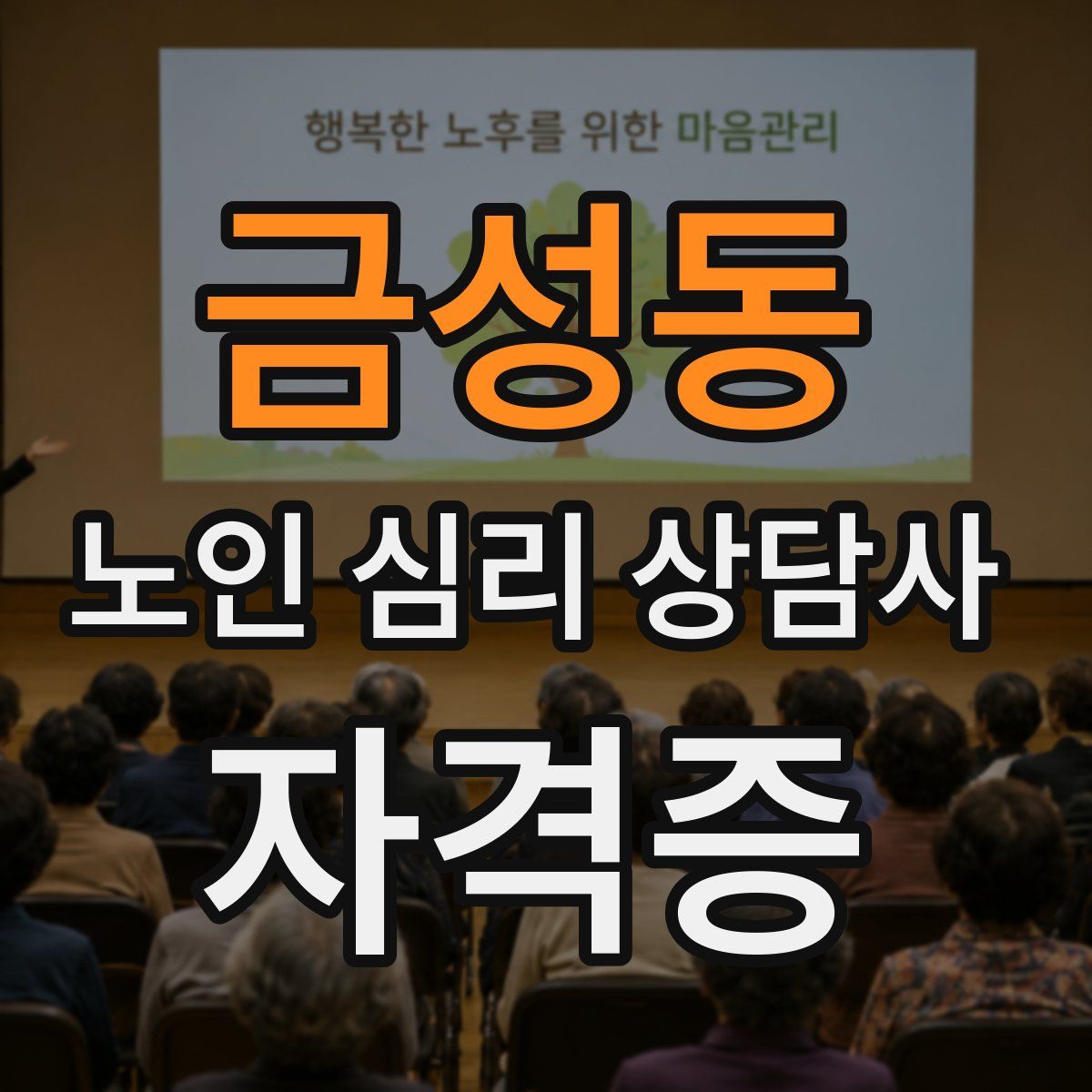 금성동 노인 심리 상담사 자격증