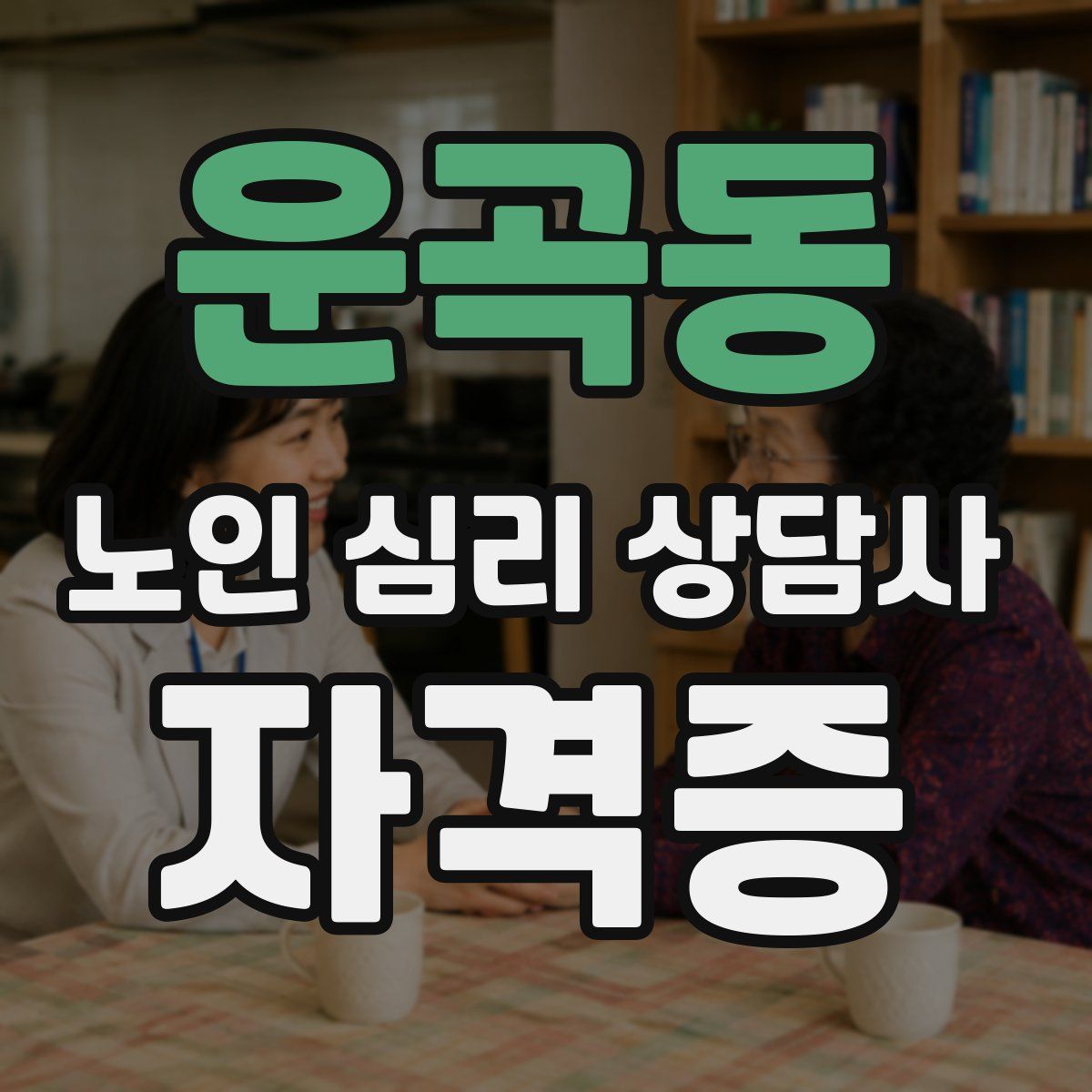 운곡동 노인 심리 상담사 자격증