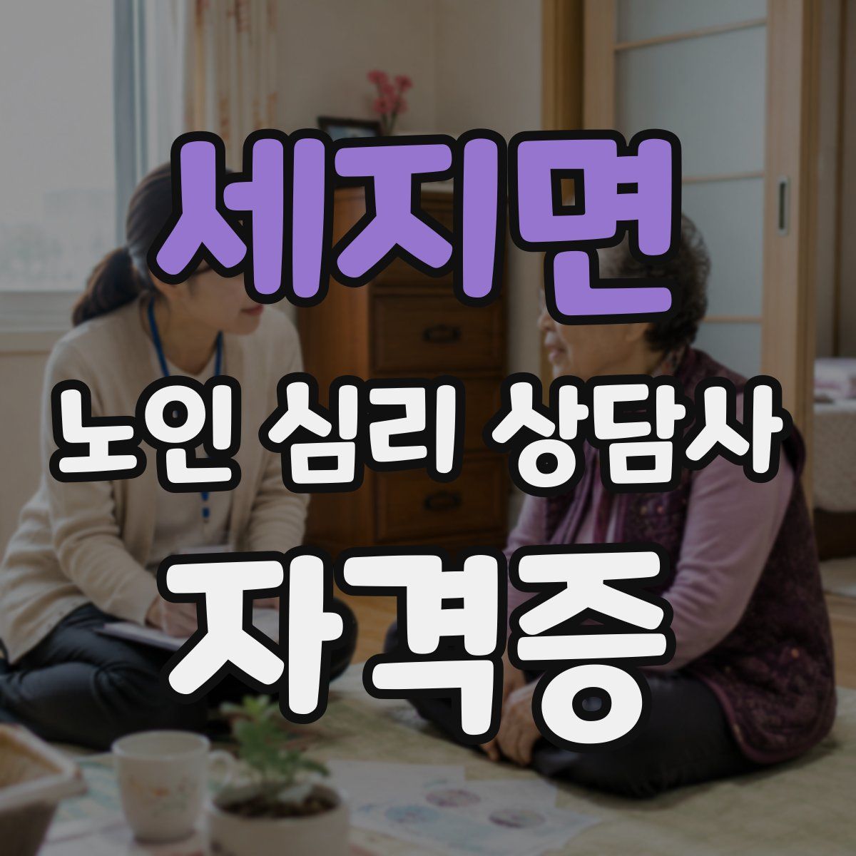 세지면 노인 심리 상담사 자격증