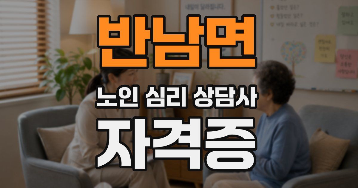 반남면 노인 심리 상담사 자격증