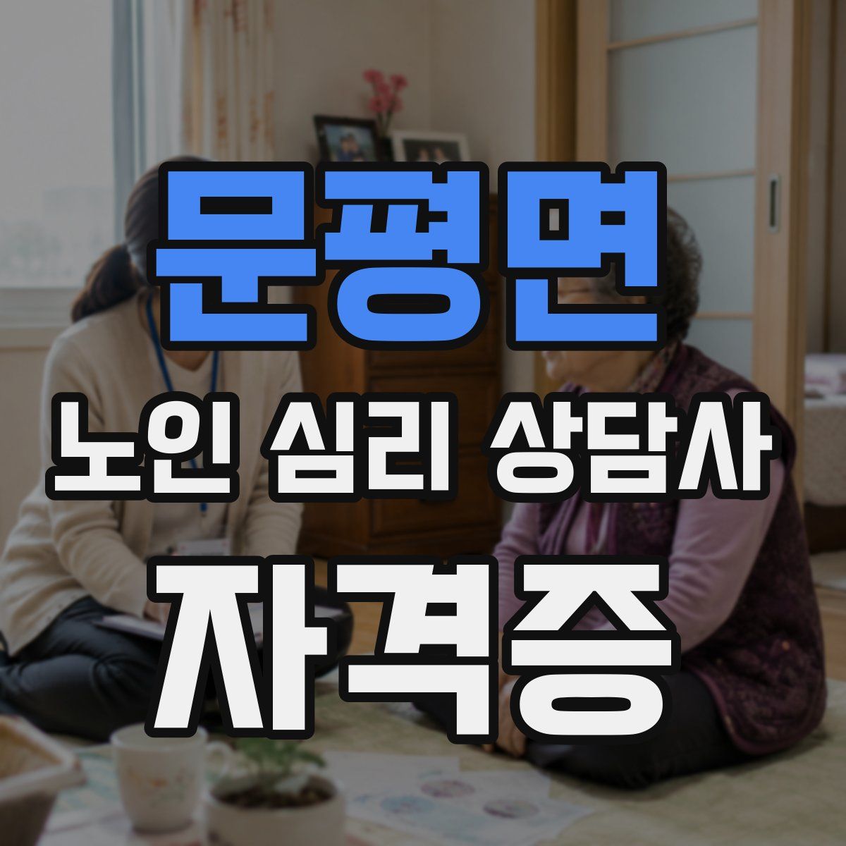 문평면 노인 심리 상담사 자격증