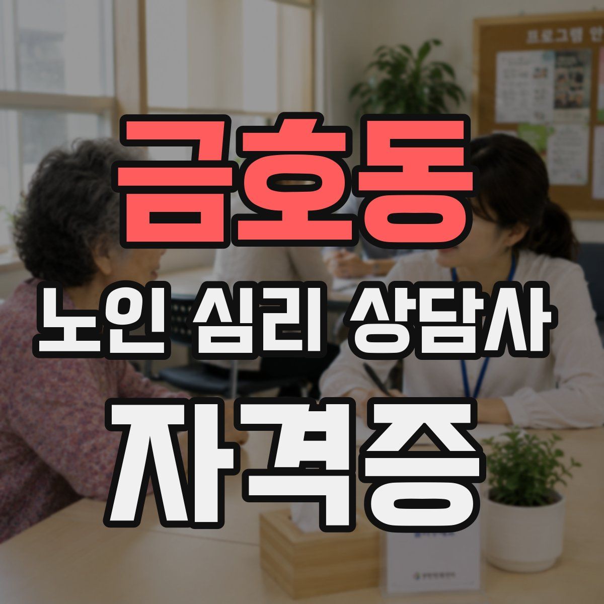 금호동 노인 심리 상담사 자격증