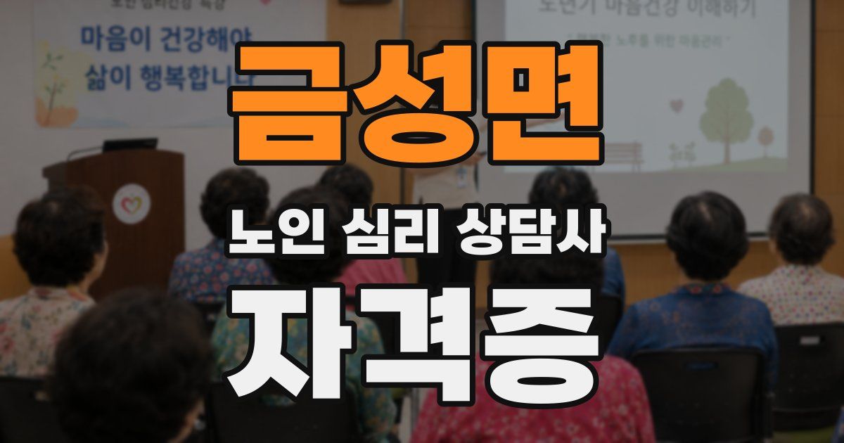 금성면 노인 심리 상담사 자격증