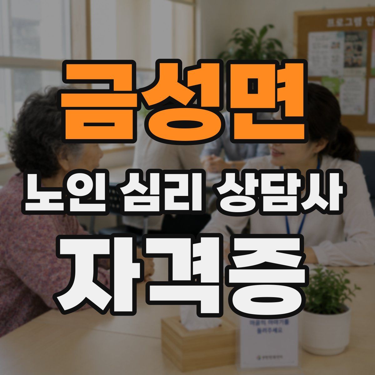금성면 노인 심리 상담사 자격증