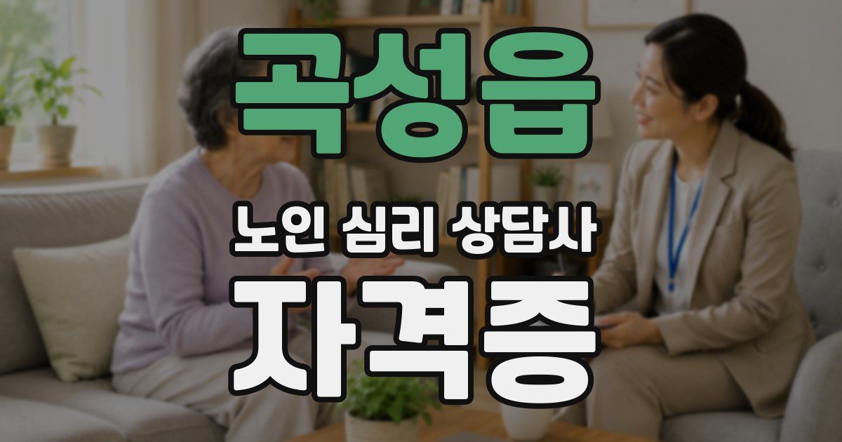 곡성읍 노인 심리 상담사 자격증
