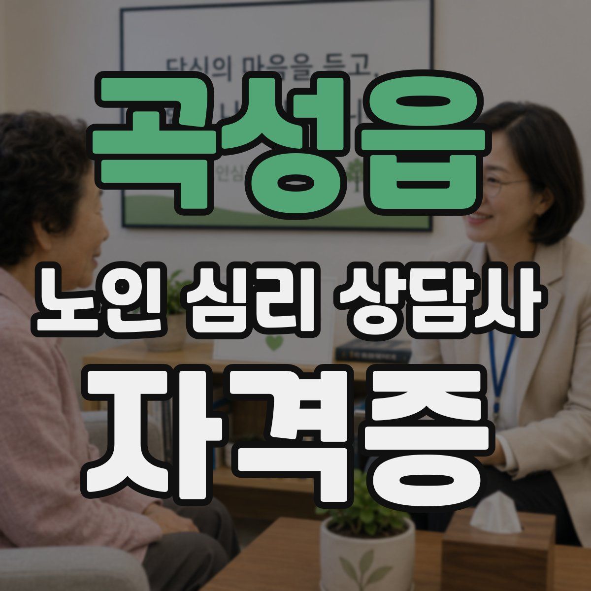 곡성읍 노인 심리 상담사 자격증