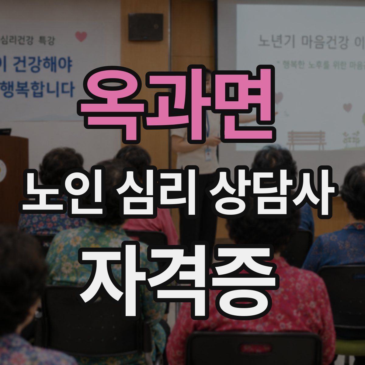 옥과면 노인 심리 상담사 자격증