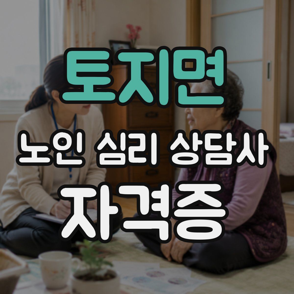 토지면 노인 심리 상담사 자격증