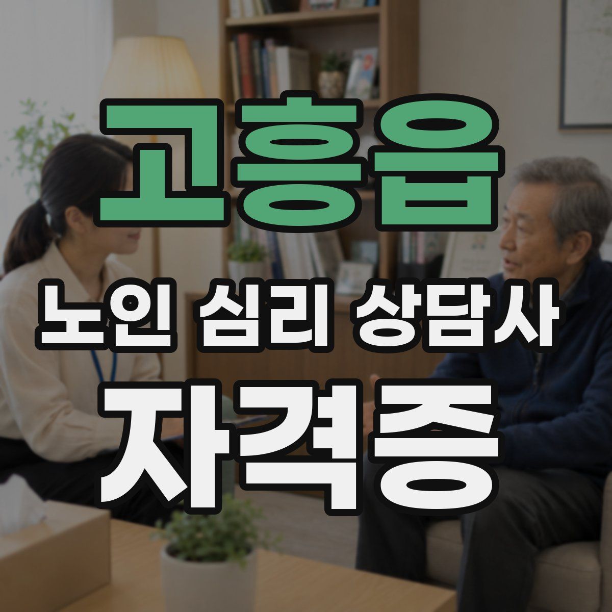 고흥읍 노인 심리 상담사 자격증