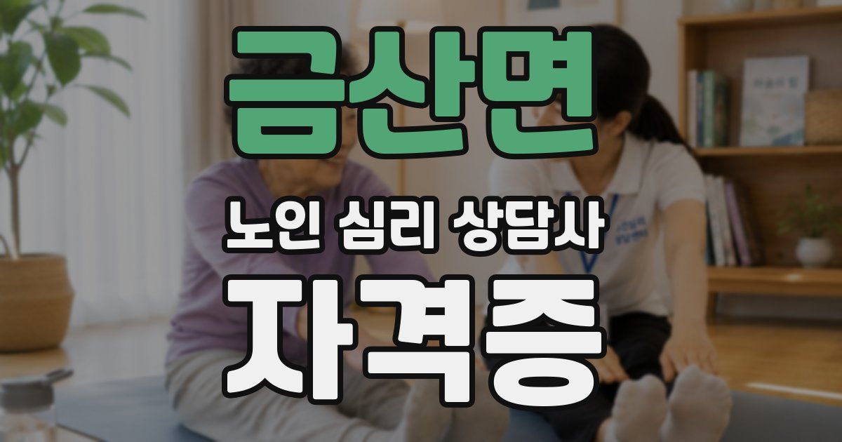 금산면 노인 심리 상담사 자격증