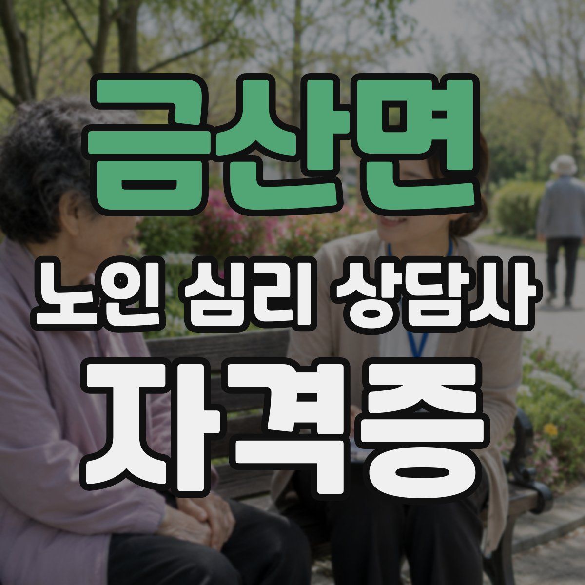 금산면 노인 심리 상담사 자격증