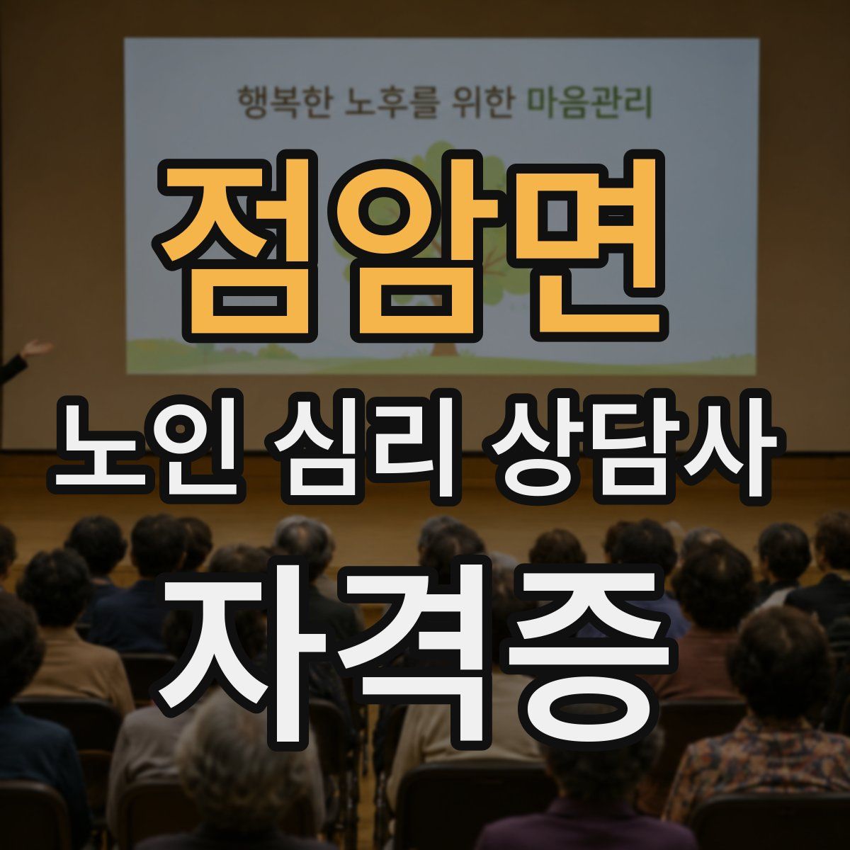 점암면 노인 심리 상담사 자격증