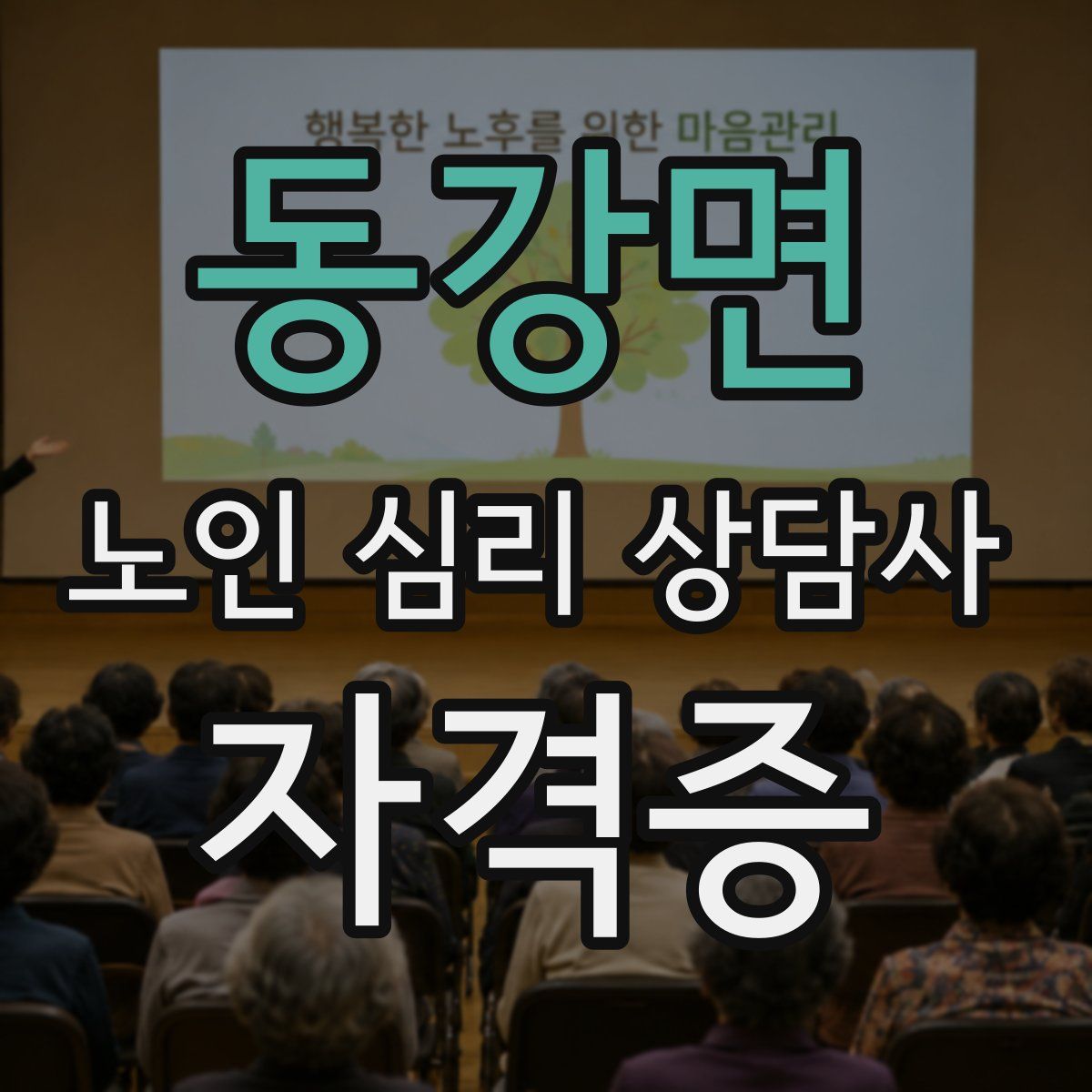 동강면 노인 심리 상담사 자격증