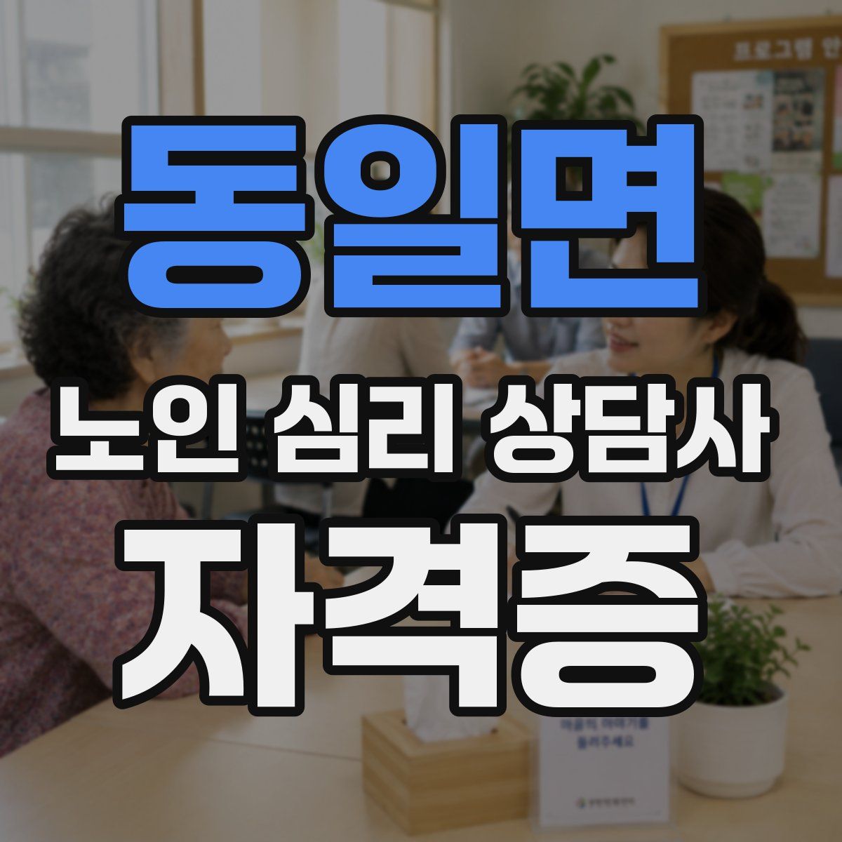 동일면 노인 심리 상담사 자격증