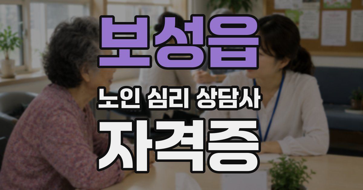 보성읍 노인 심리 상담사 자격증