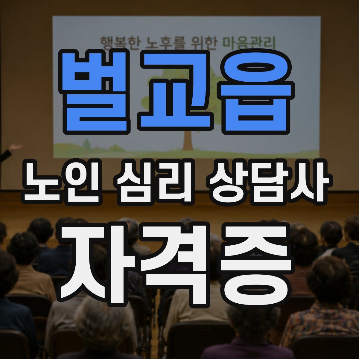 벌교읍 노인 심리 상담사 자격증