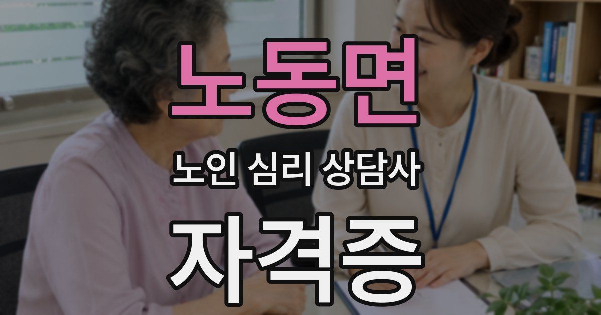 노동면 노인 심리 상담사 자격증