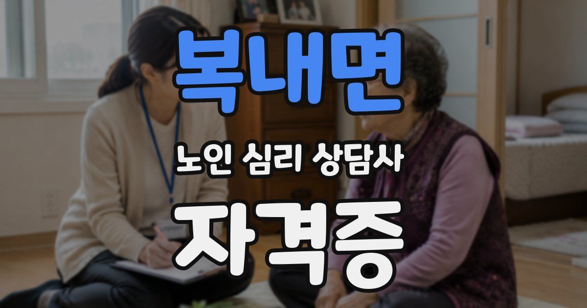 복내면 노인 심리 상담사 자격증