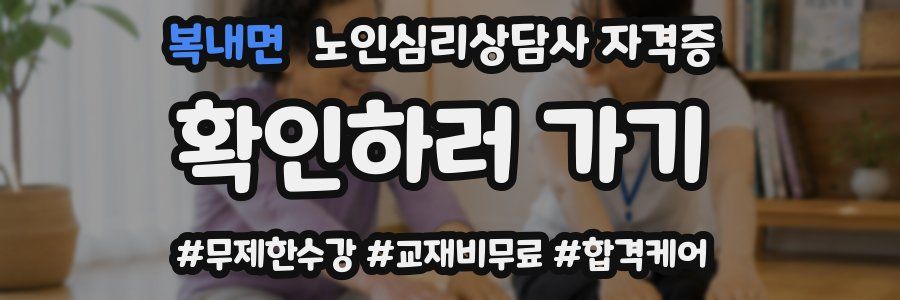 복내면 노인 심리 상담사 자격증