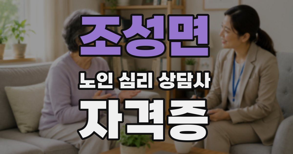 조성면 노인 심리 상담사 자격증