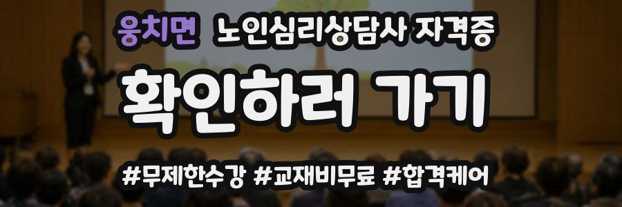 웅치면 노인 심리 상담사 자격증