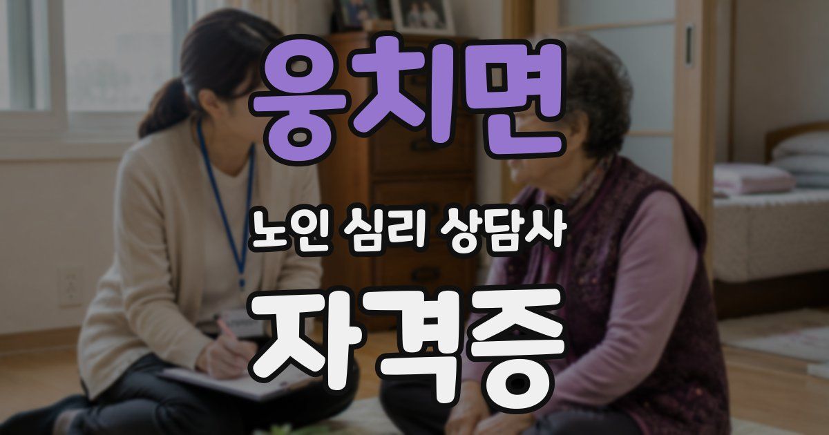 웅치면 노인 심리 상담사 자격증