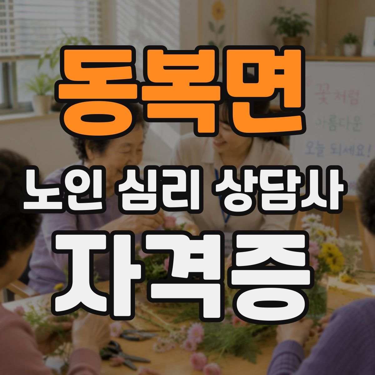 동복면 노인 심리 상담사 자격증