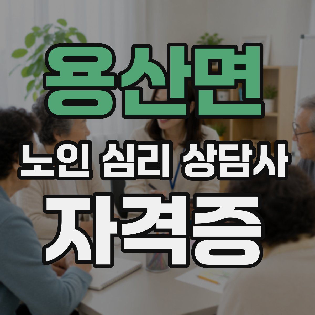 용산면 노인 심리 상담사 자격증