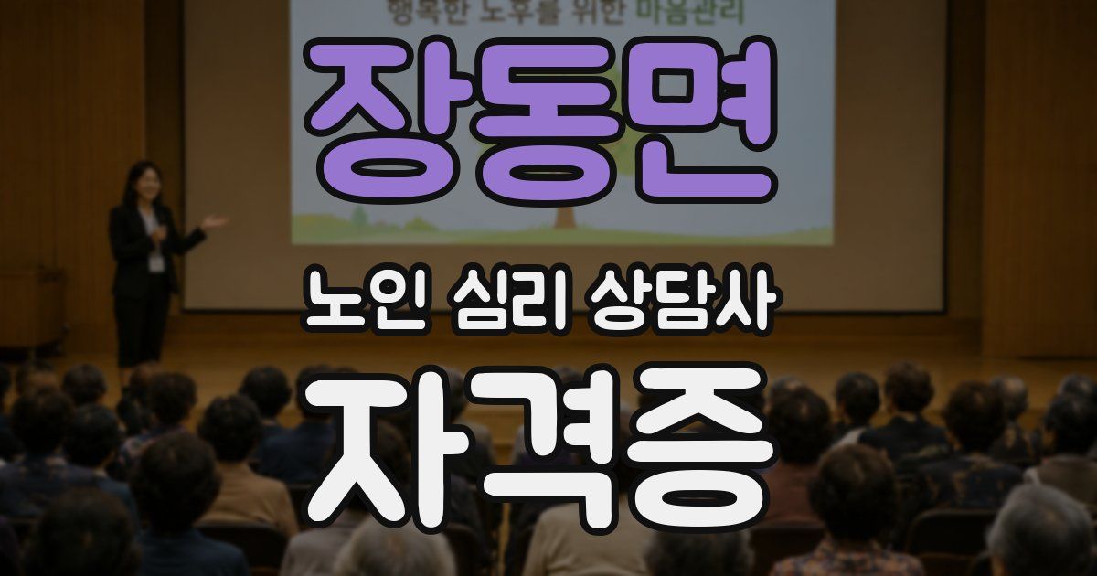 장동면 노인 심리 상담사 자격증