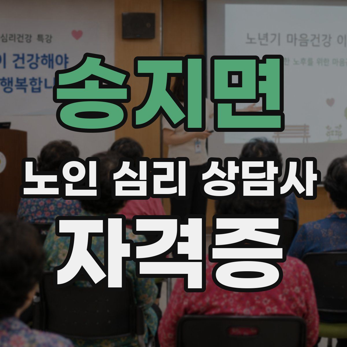 송지면 노인 심리 상담사 자격증