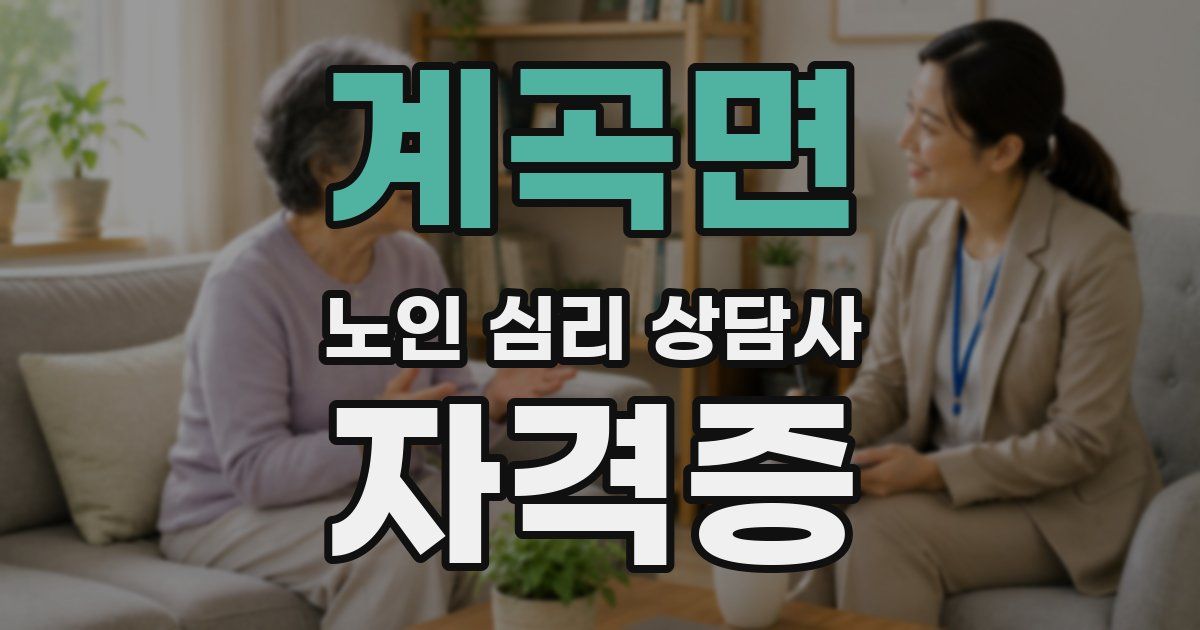 계곡면 노인 심리 상담사 자격증