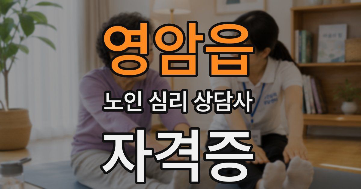 영암읍 노인 심리 상담사 자격증