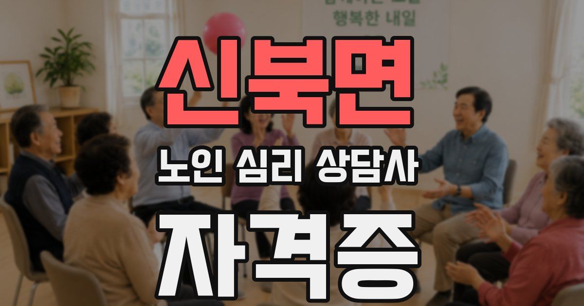 신북면 노인 심리 상담사 자격증