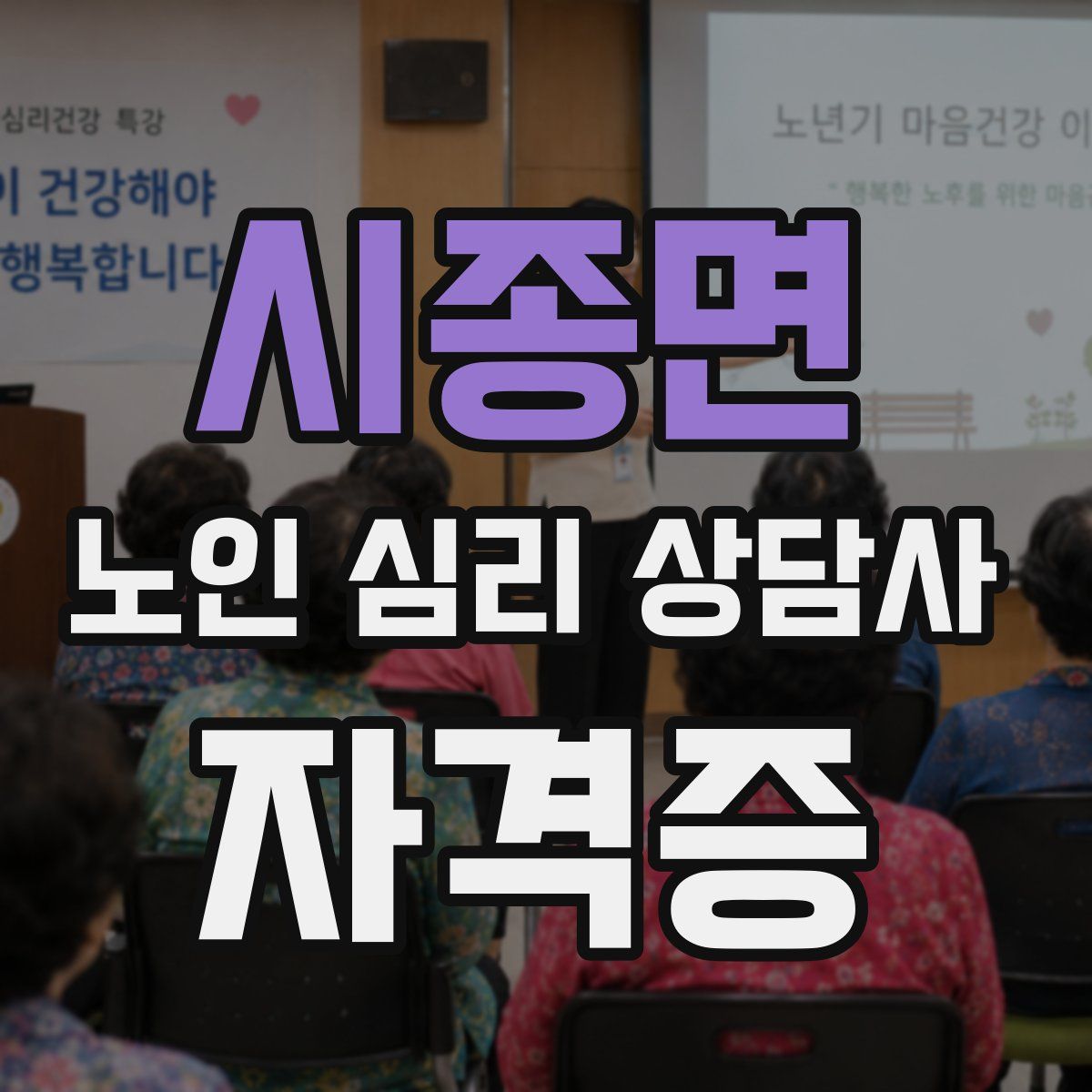 시종면 노인 심리 상담사 자격증