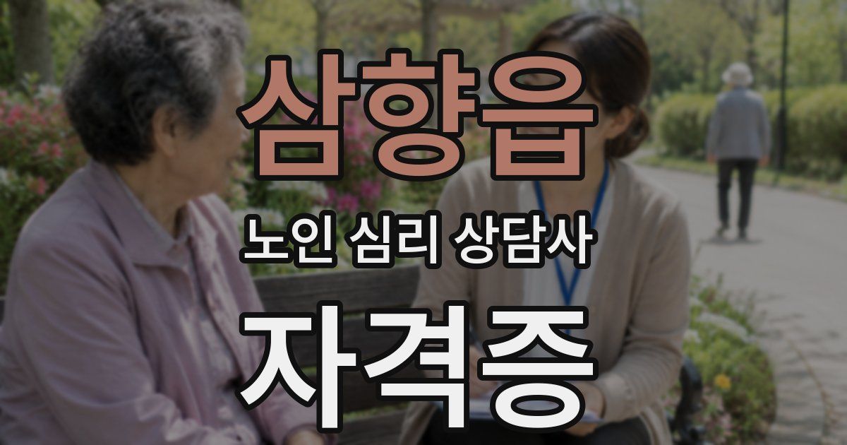 삼향읍 노인 심리 상담사 자격증