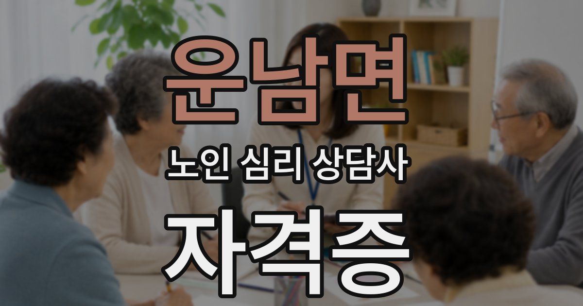 운남면 노인 심리 상담사 자격증