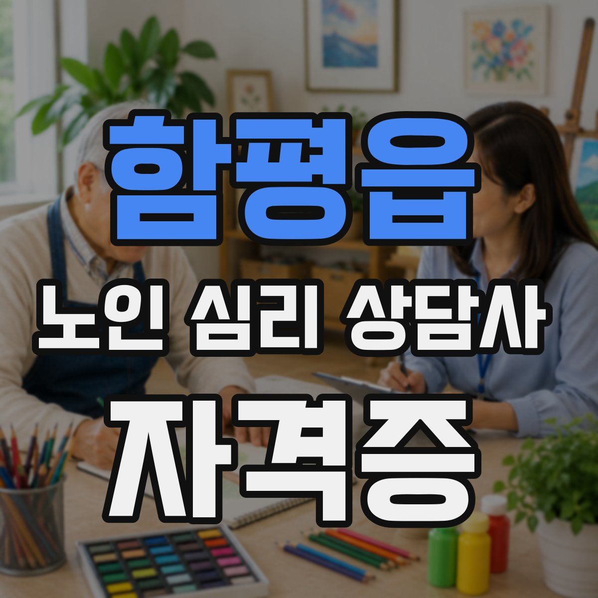함평읍 노인 심리 상담사 자격증