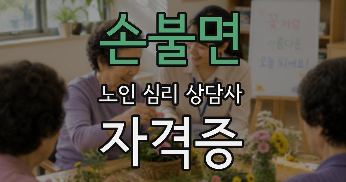 손불면 노인 심리 상담사 자격증