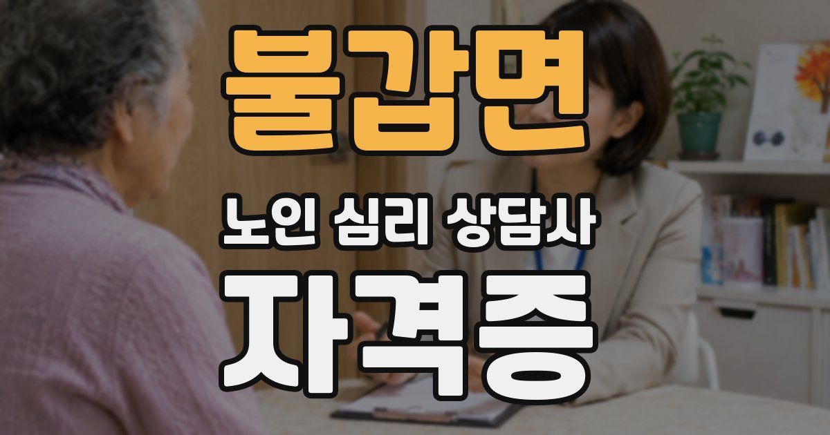 불갑면 노인 심리 상담사 자격증