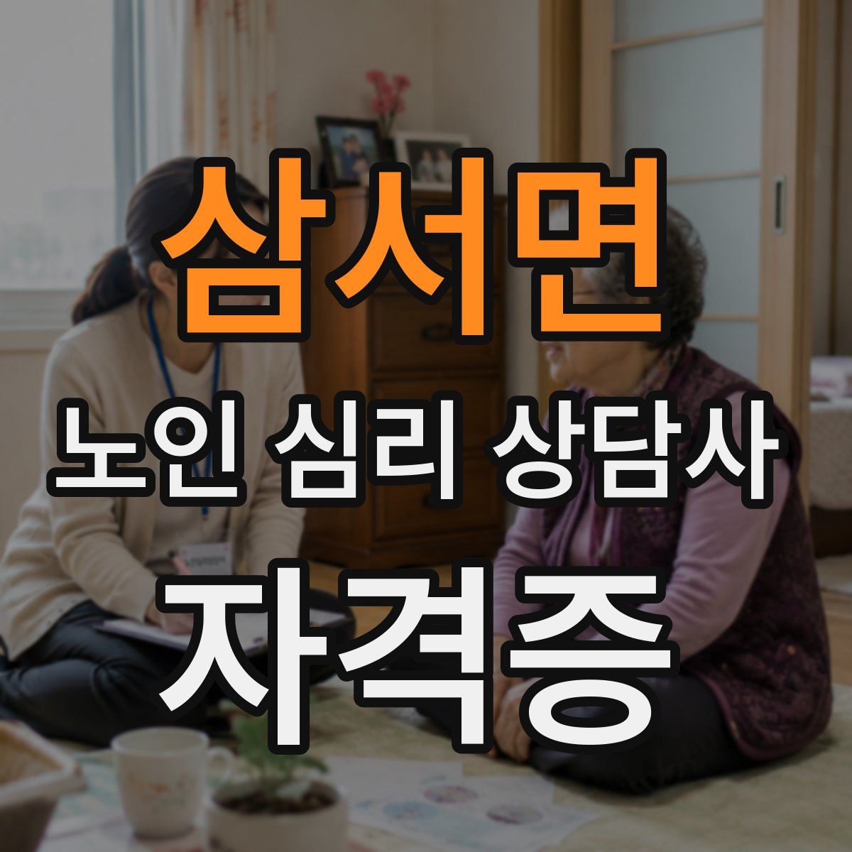 삼서면 노인 심리 상담사 자격증