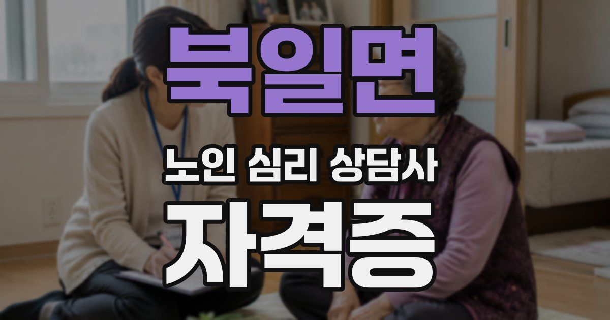 북일면 노인 심리 상담사 자격증