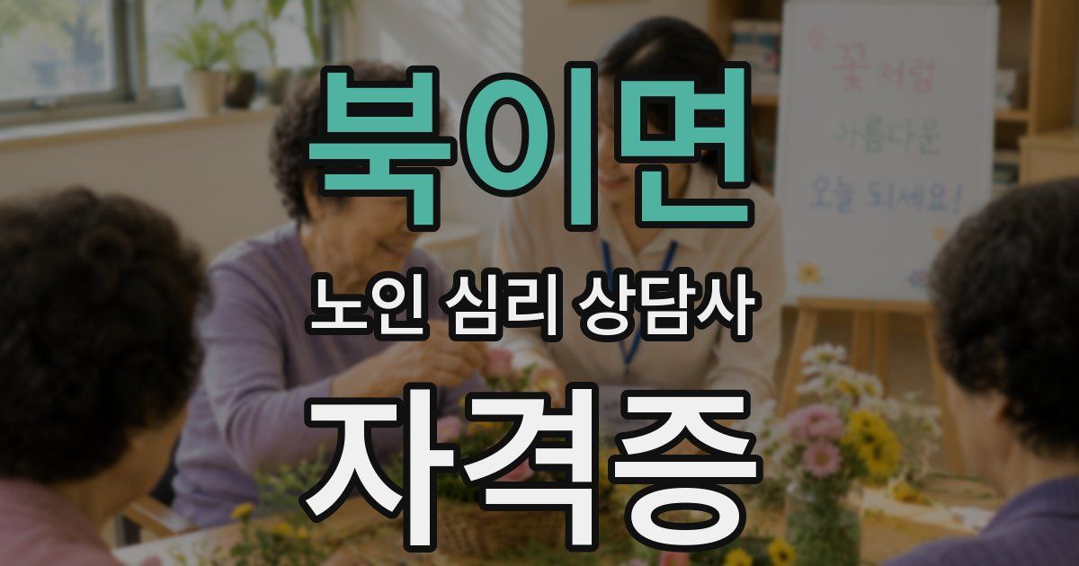 북이면 노인 심리 상담사 자격증