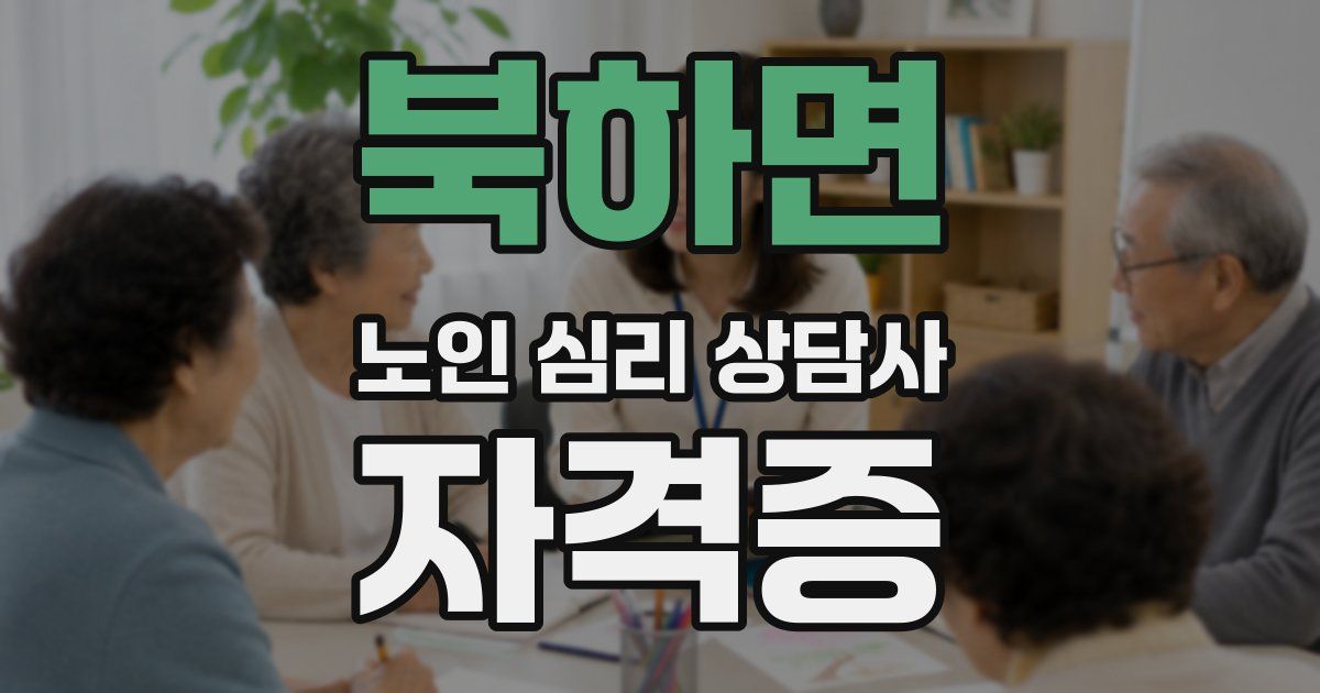 북하면 노인 심리 상담사 자격증