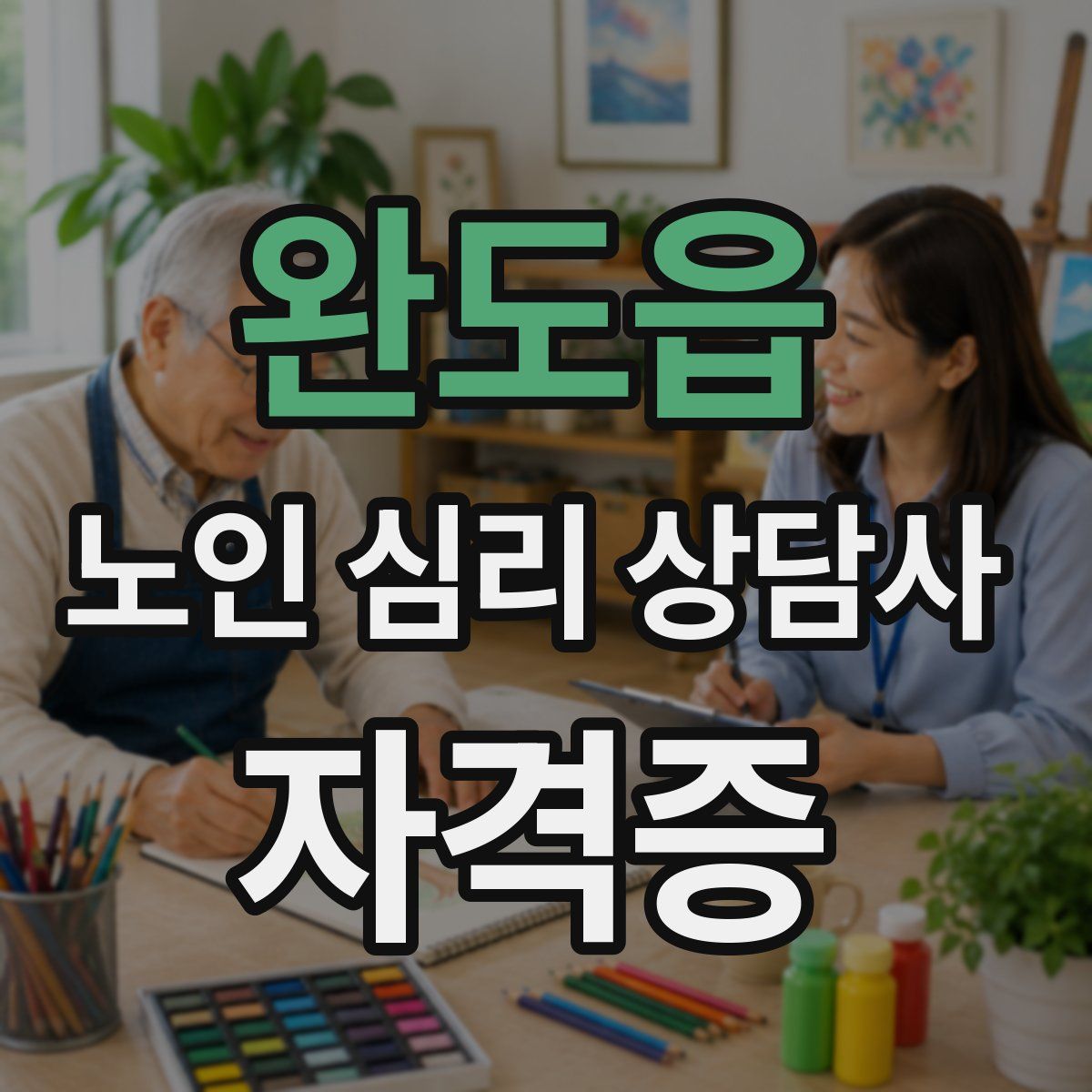 완도읍 노인 심리 상담사 자격증