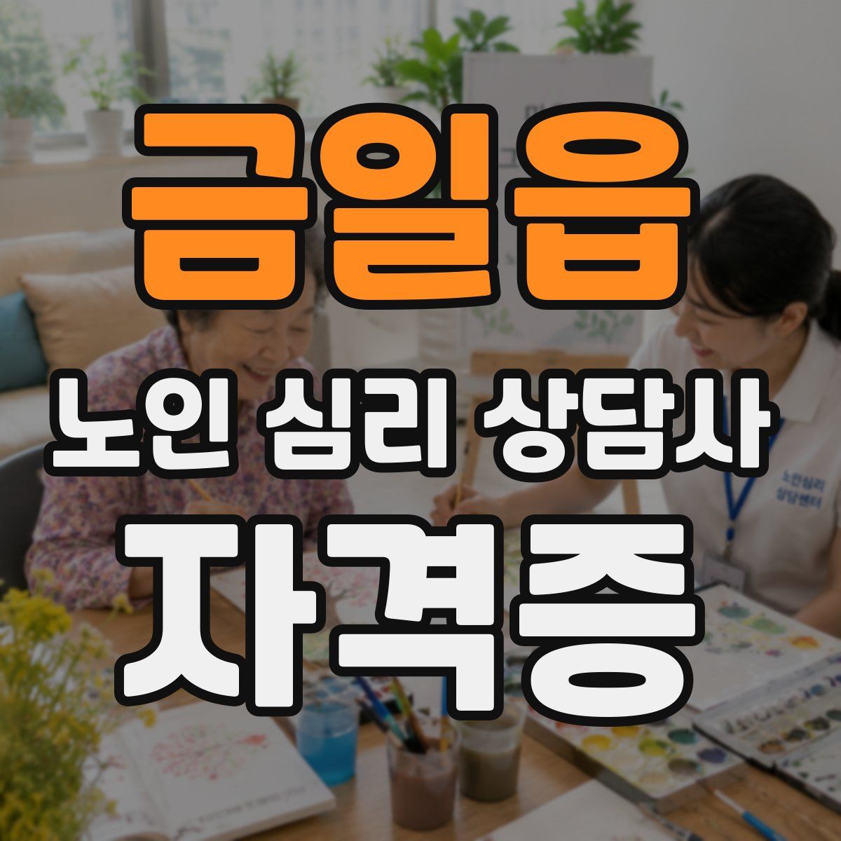 금일읍 노인 심리 상담사 자격증