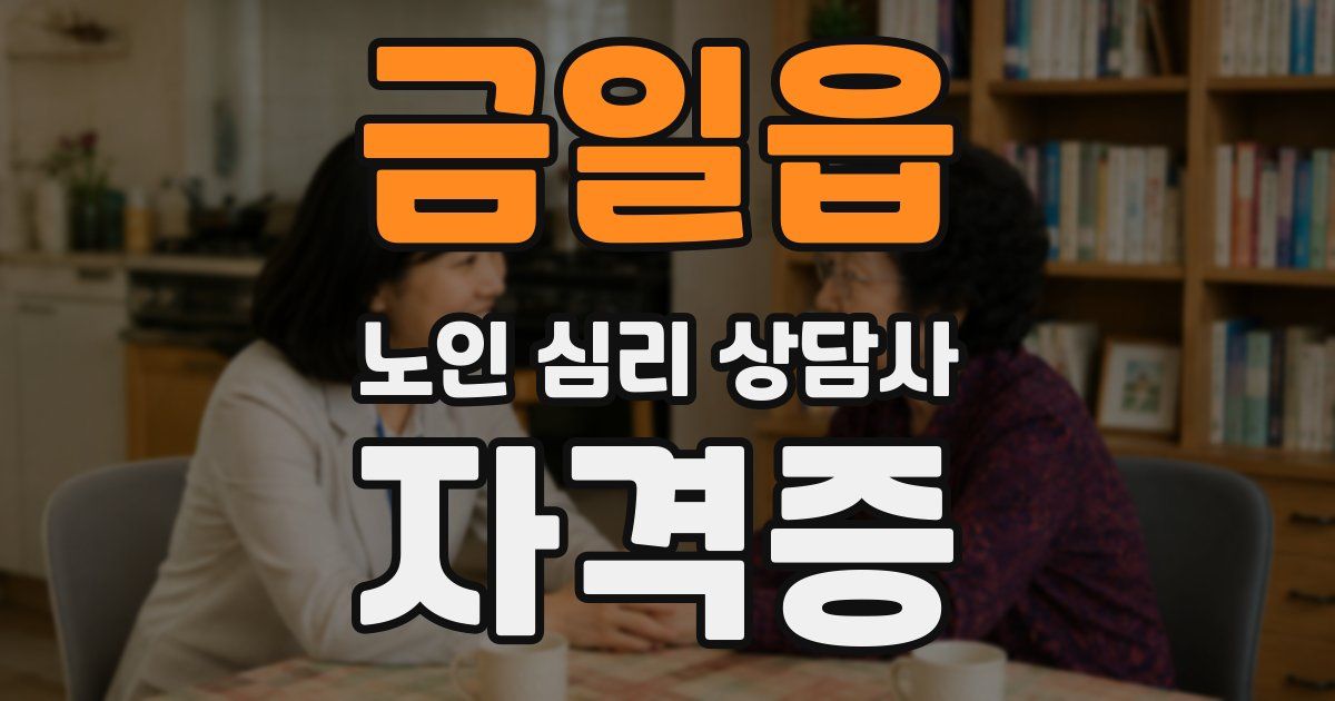 금일읍 노인 심리 상담사 자격증