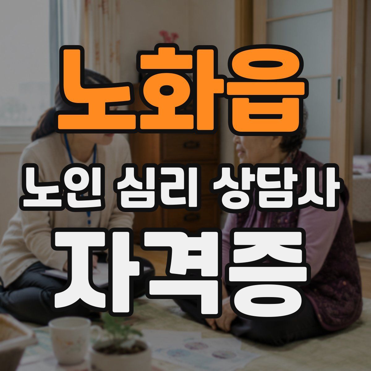 노화읍 노인 심리 상담사 자격증